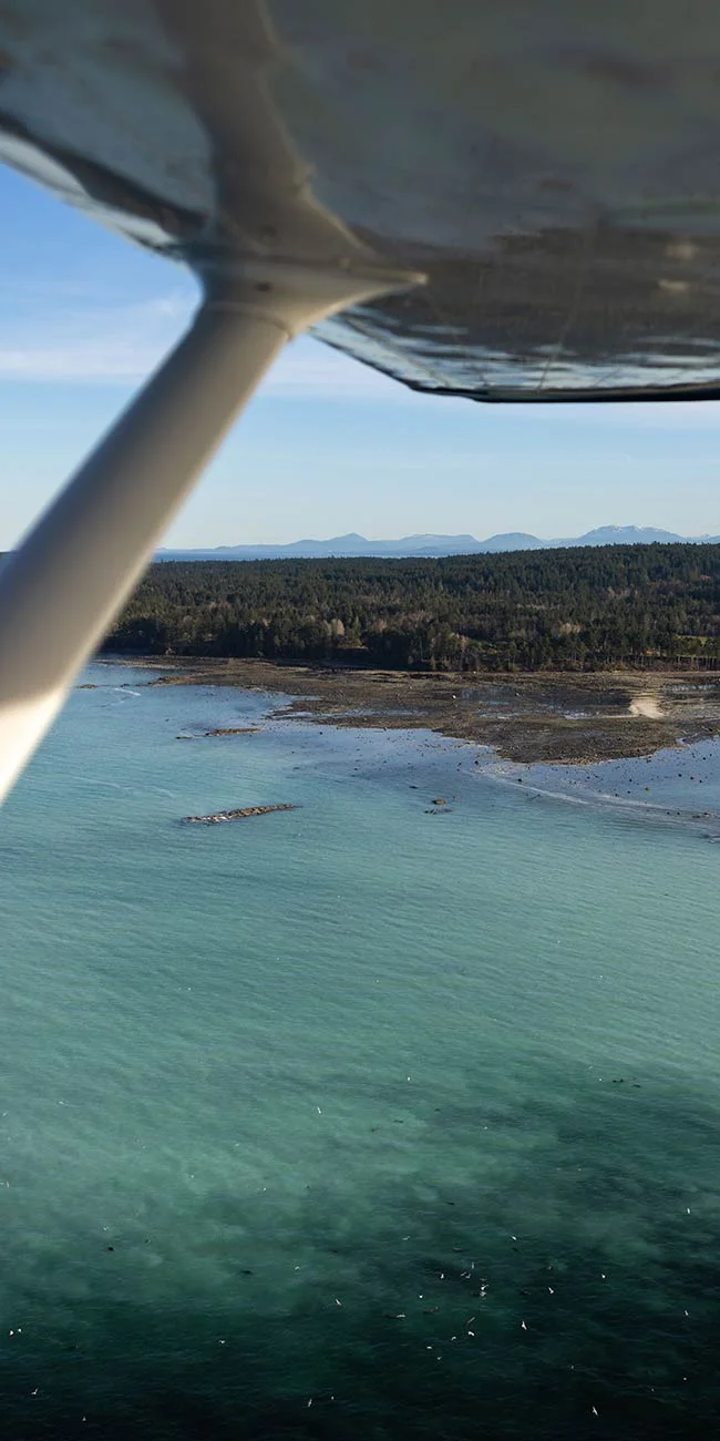 Scenic Flights: Sky High Tetrahedron Tour